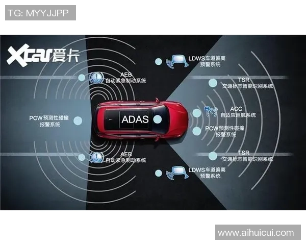 科目三姚明的驾驶之路与篮球生涯的精彩交织