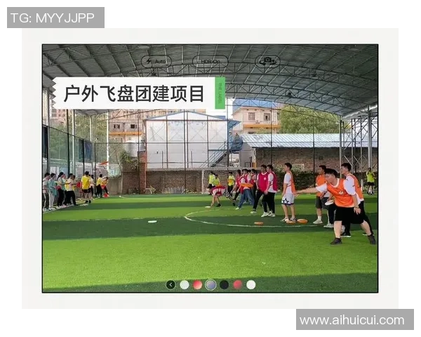 重庆飞盘队团队协作深度解析与其他队伍的比较分析